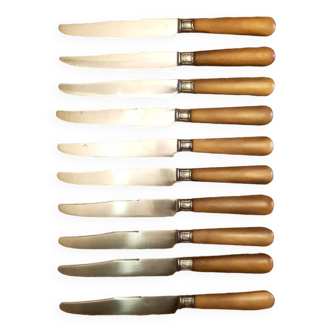 Set of 10 horn handle knives