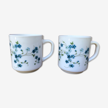 Duo de mug Arcopal Veronica décor fleur bleu myosotis.