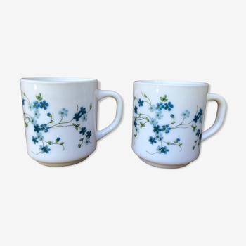 Duo of mug Arcopal Veronica décor flower blue forget-me-not.