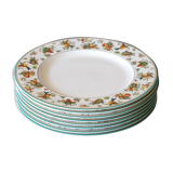 Series of 8 flat plates for dinner. Heinrich Villeroy & Boch. Golden Birds