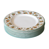 Series of 8 flat plates for dinner. Heinrich Villeroy & Boch. Golden Birds