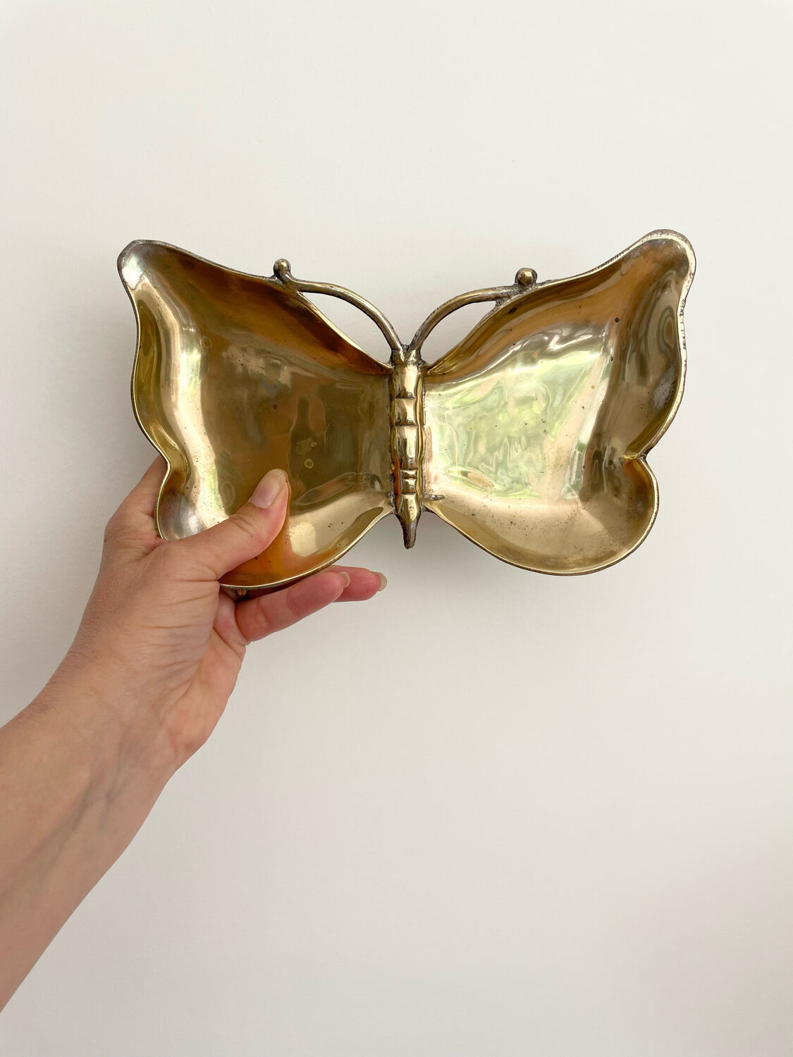 Empty butterfly brass pocket