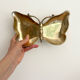 Empty butterfly brass pocket