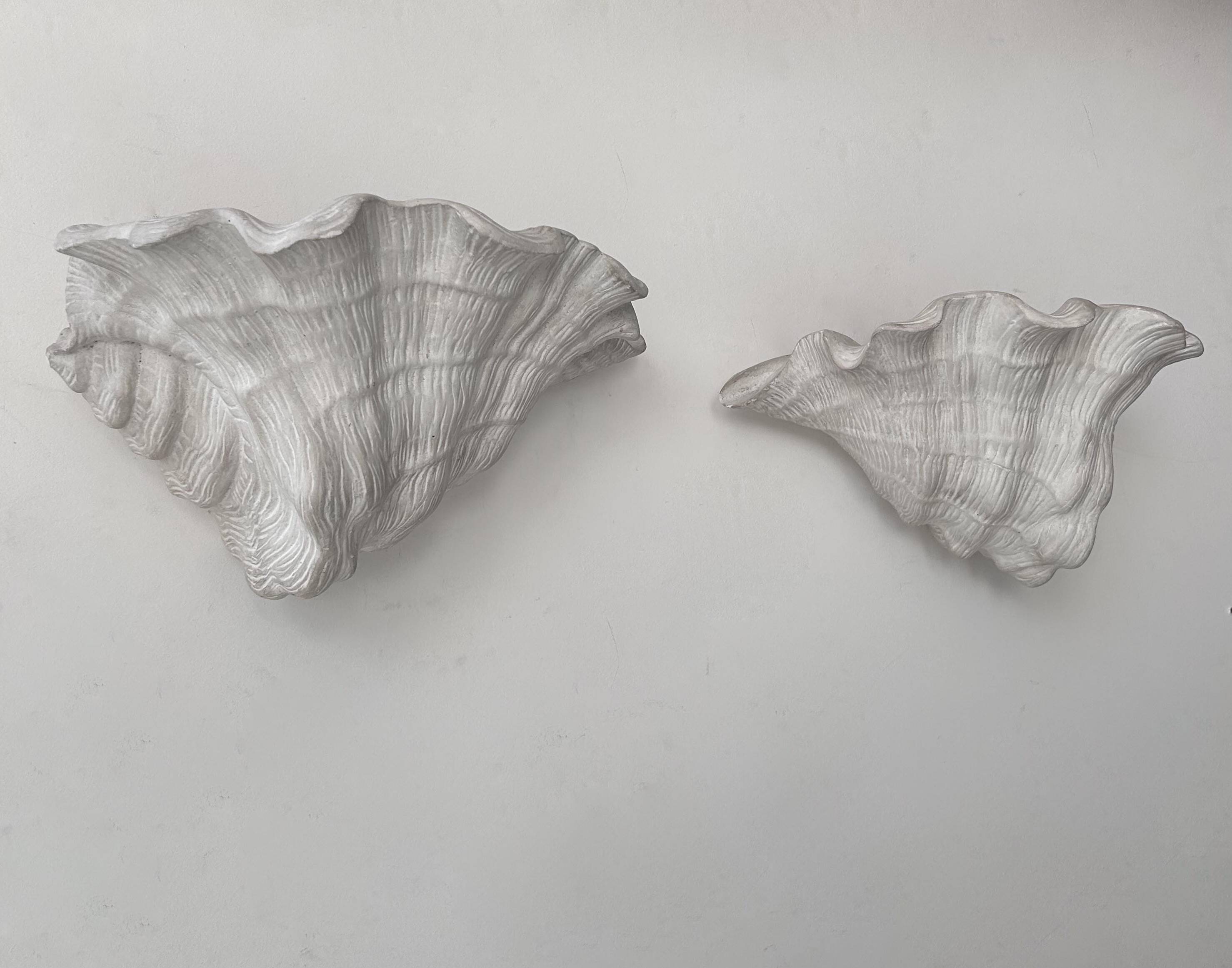 Pair of vintage shell wall lights, matte white plaster, France 1940