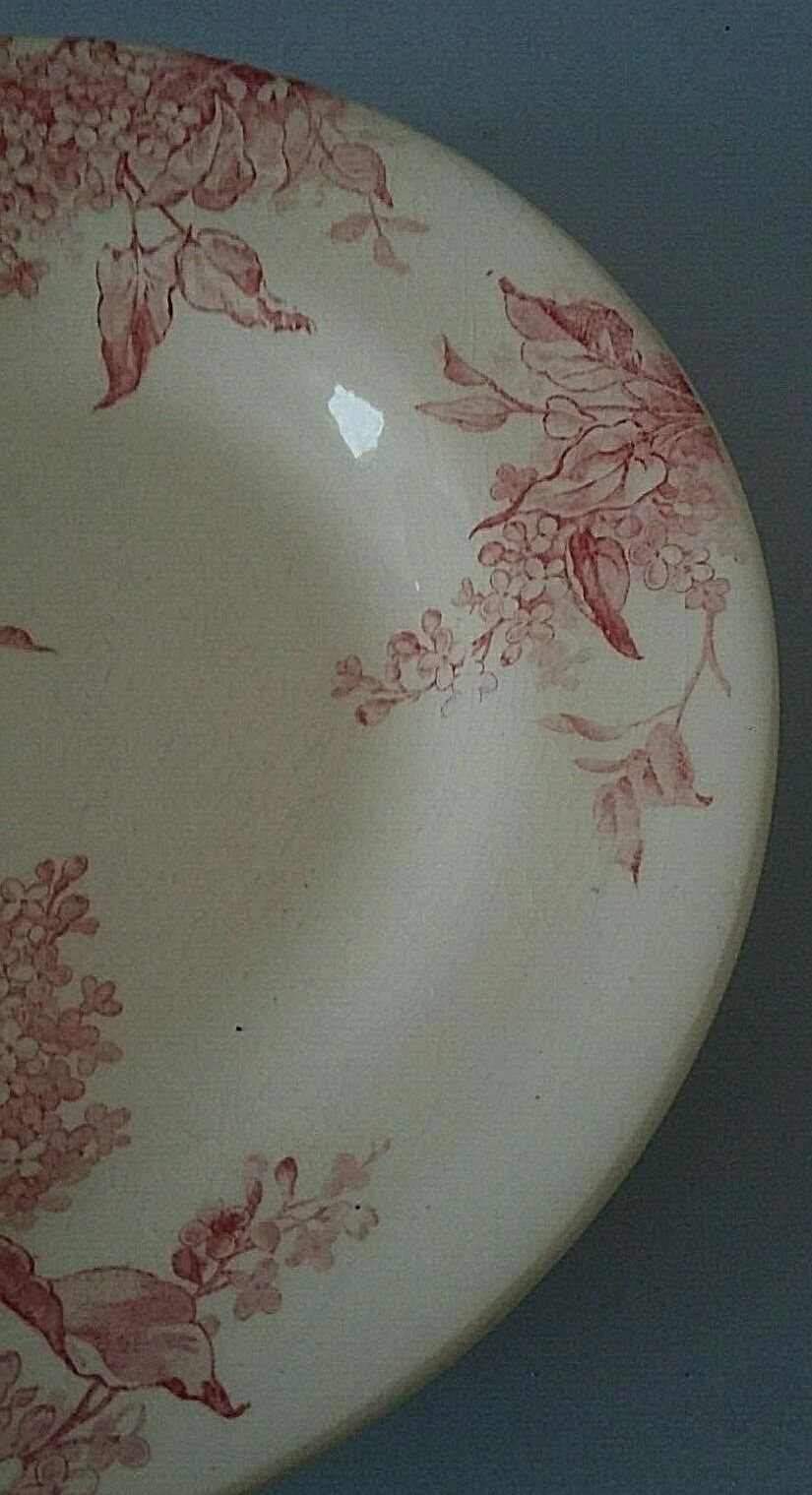 Old hollow plate Gien model Lilas model late 19th century Lilas