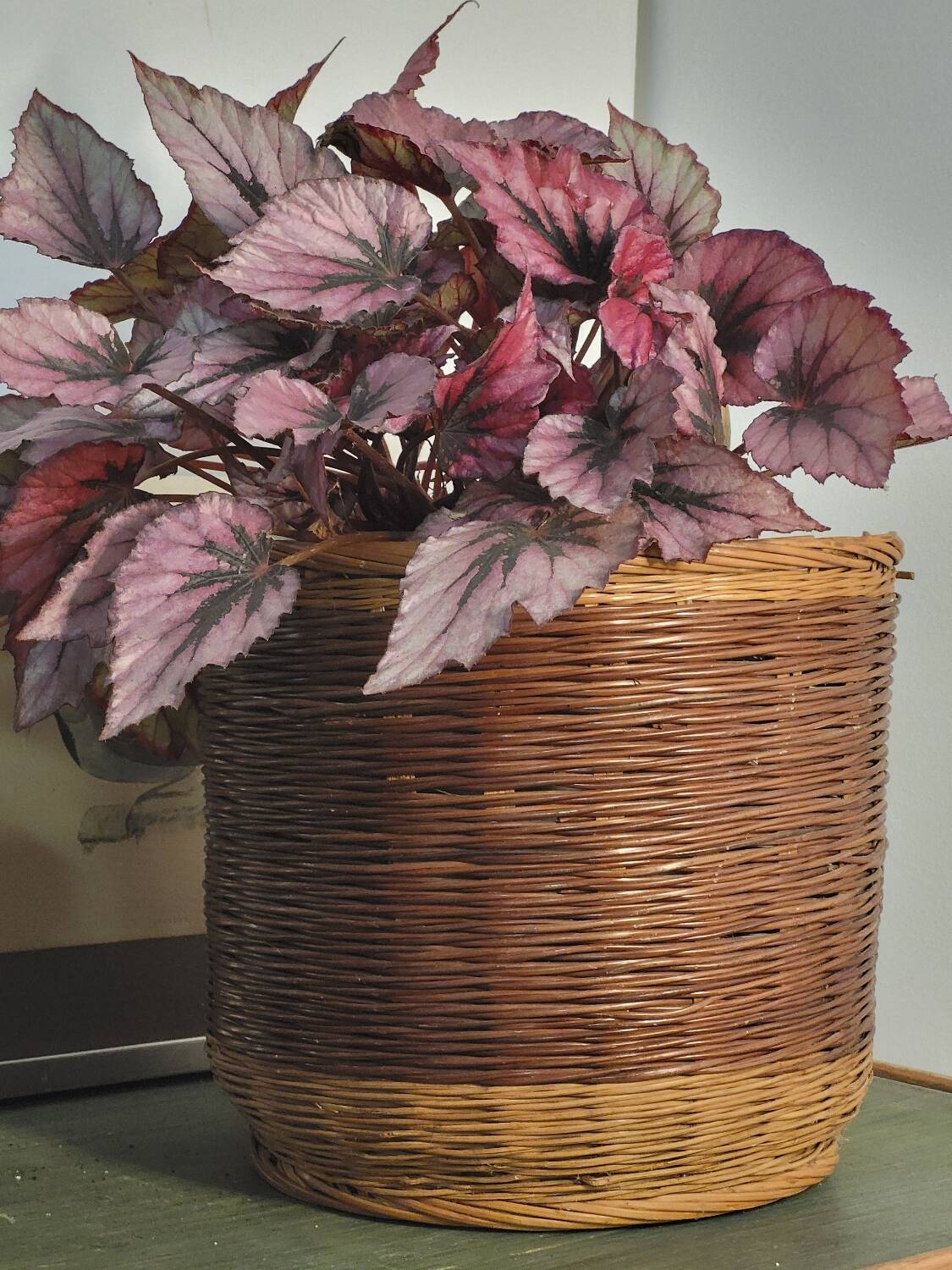 Wicker rattan planter
