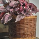 Wicker rattan planter