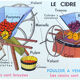 Educational poster