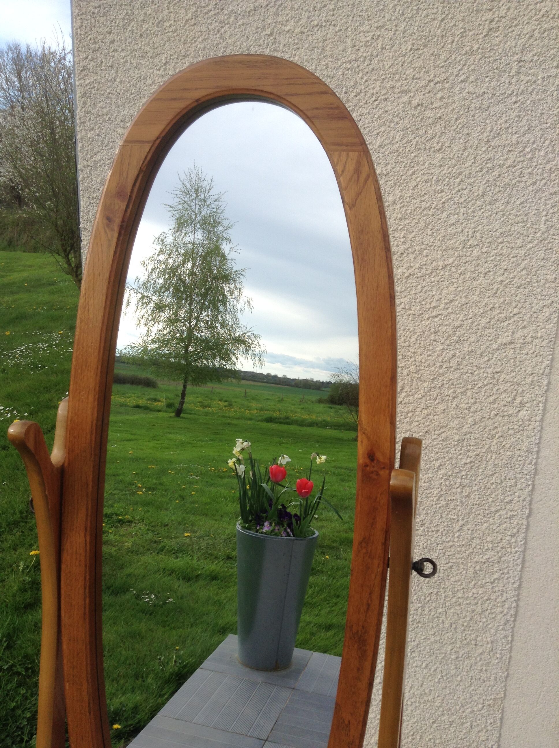 Mirror psyche 117x38cm