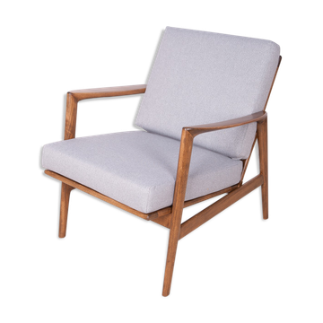Model 300-139 Armchair from Swarzędzka Factory, 1960s