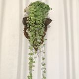 Farm wooden wall shelf