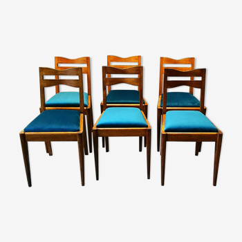 Suite de 6 chaises années 40-50 chêne et velour bleu