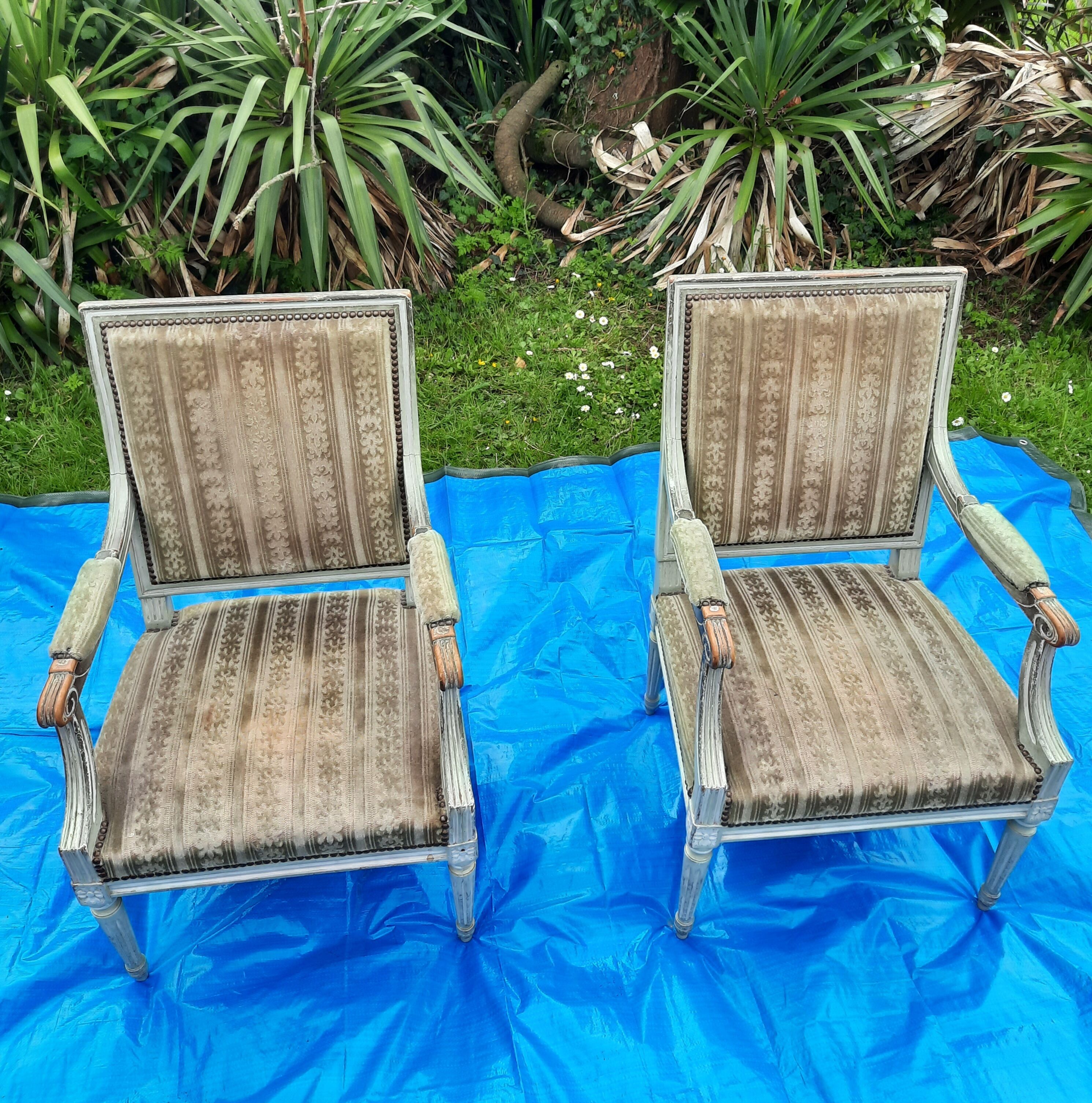 Pair of Faiteuil Louis XVI style