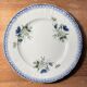 Set of 12 flat plates Terre de Fer St Amand and Hamage