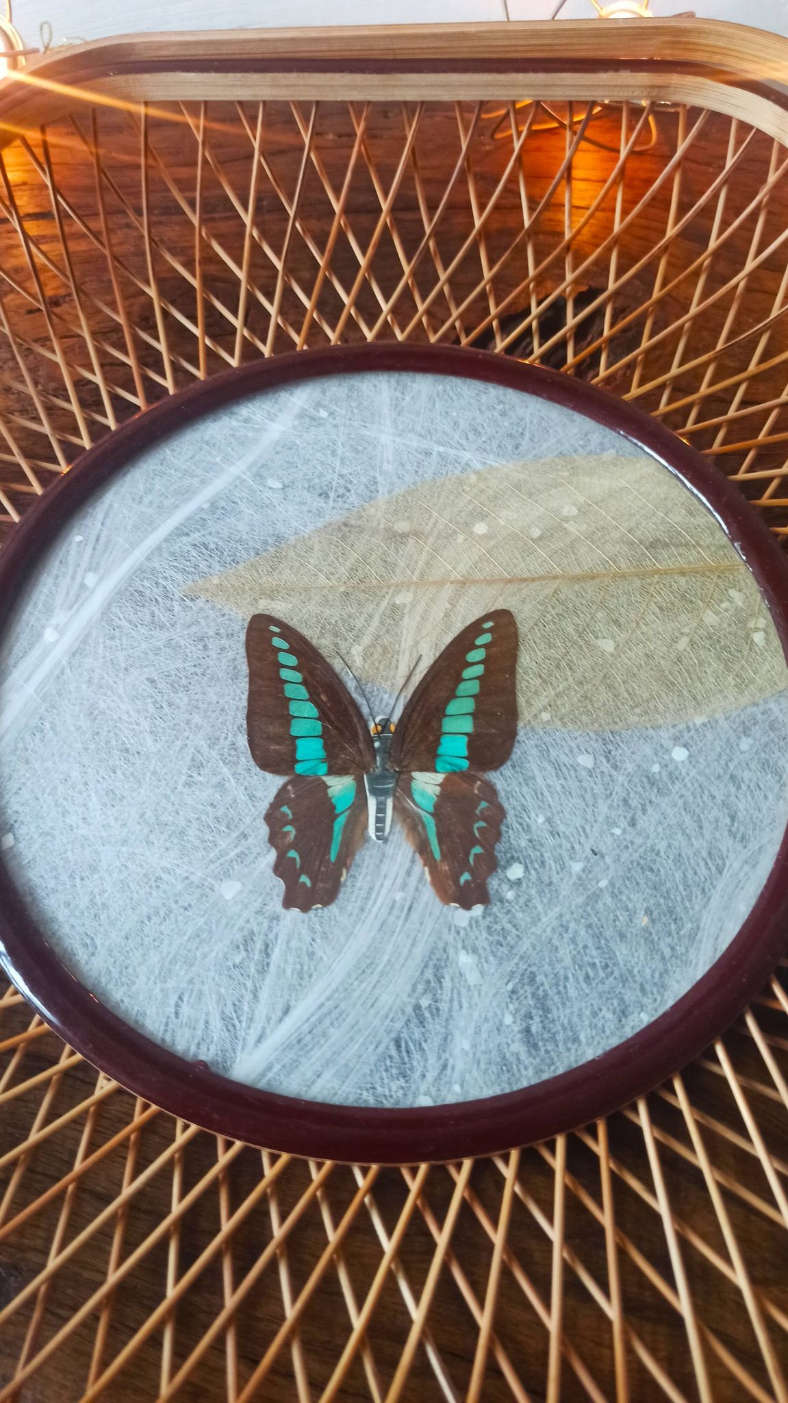 Corbeille/ plateau/ vide poche en rotin avec papillon de collection