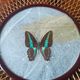 Rattan basket/tray/coin tray with a collection butterfly.