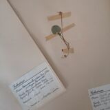 Ancient Swedish herbarium boards