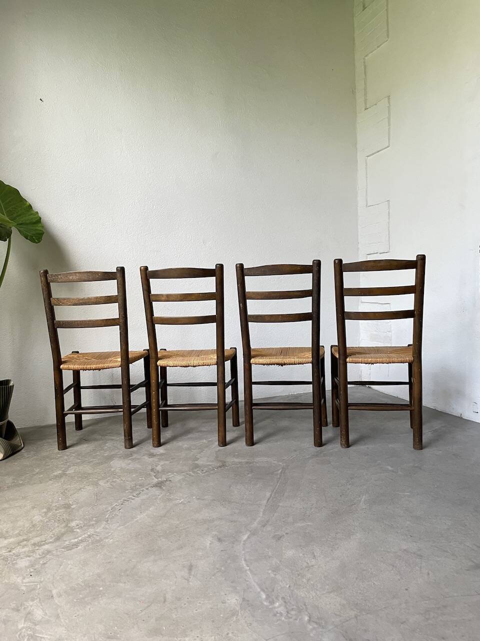 Set of 4 straw chairs from the 50s Dudouyt