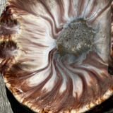 Empty Ashtray Pocket in Ceramic Marble Effect D 14 cm