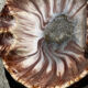 Empty Ashtray Pocket in Ceramic Marble Effect D 14 cm