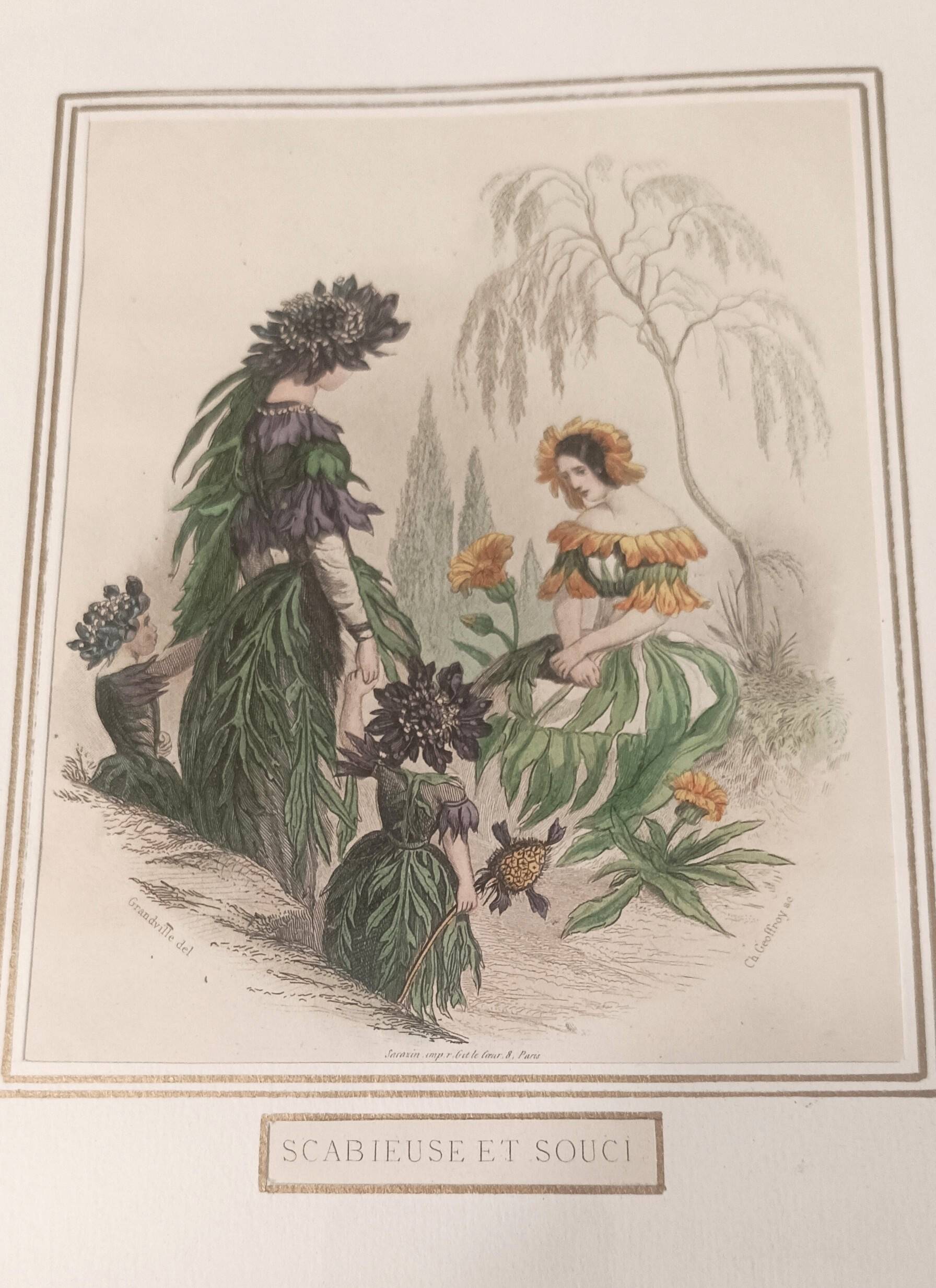 JJ Grandville Animated Flower Frame - Scabious and Marigold