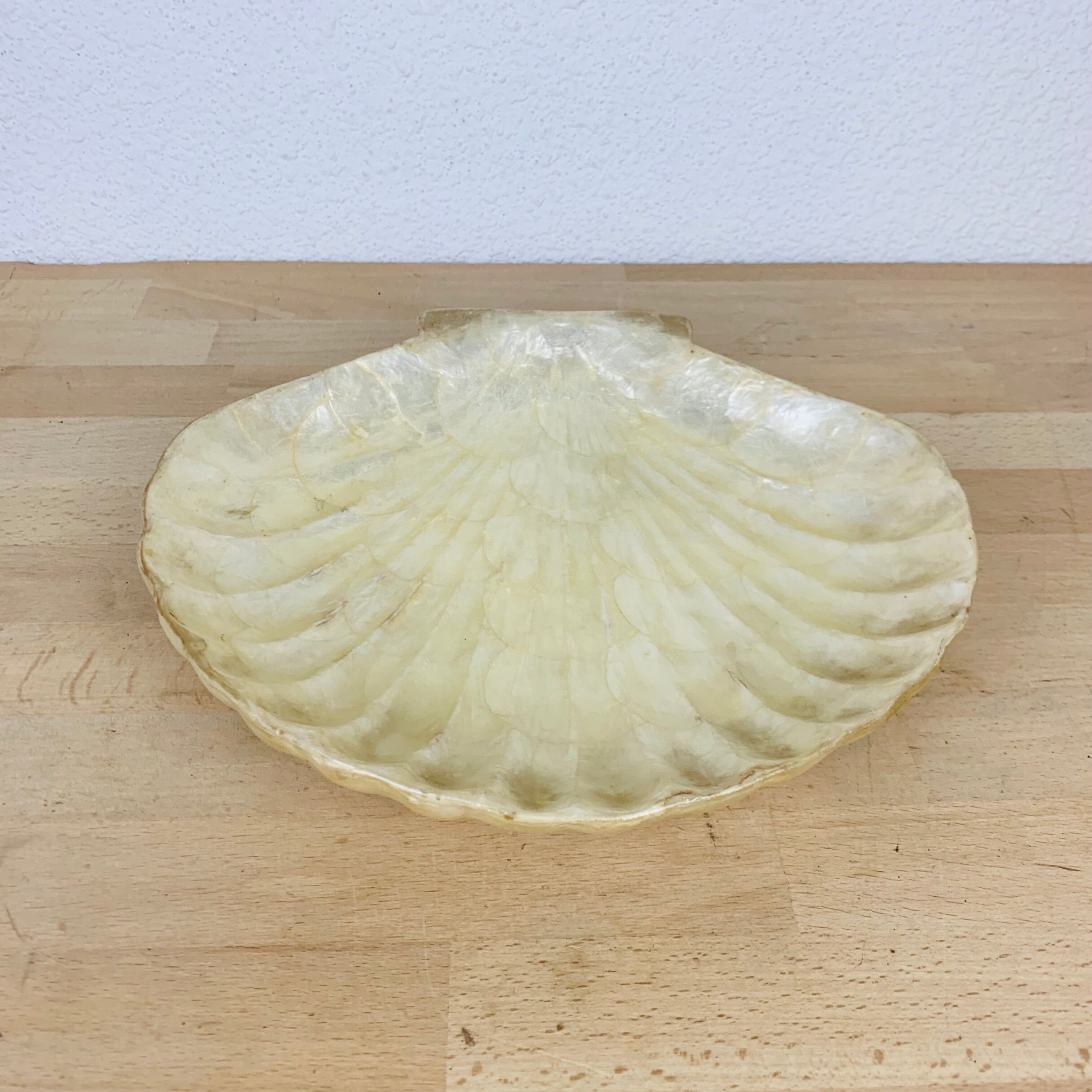 Empty pocket shell mother-of-pearl 60s