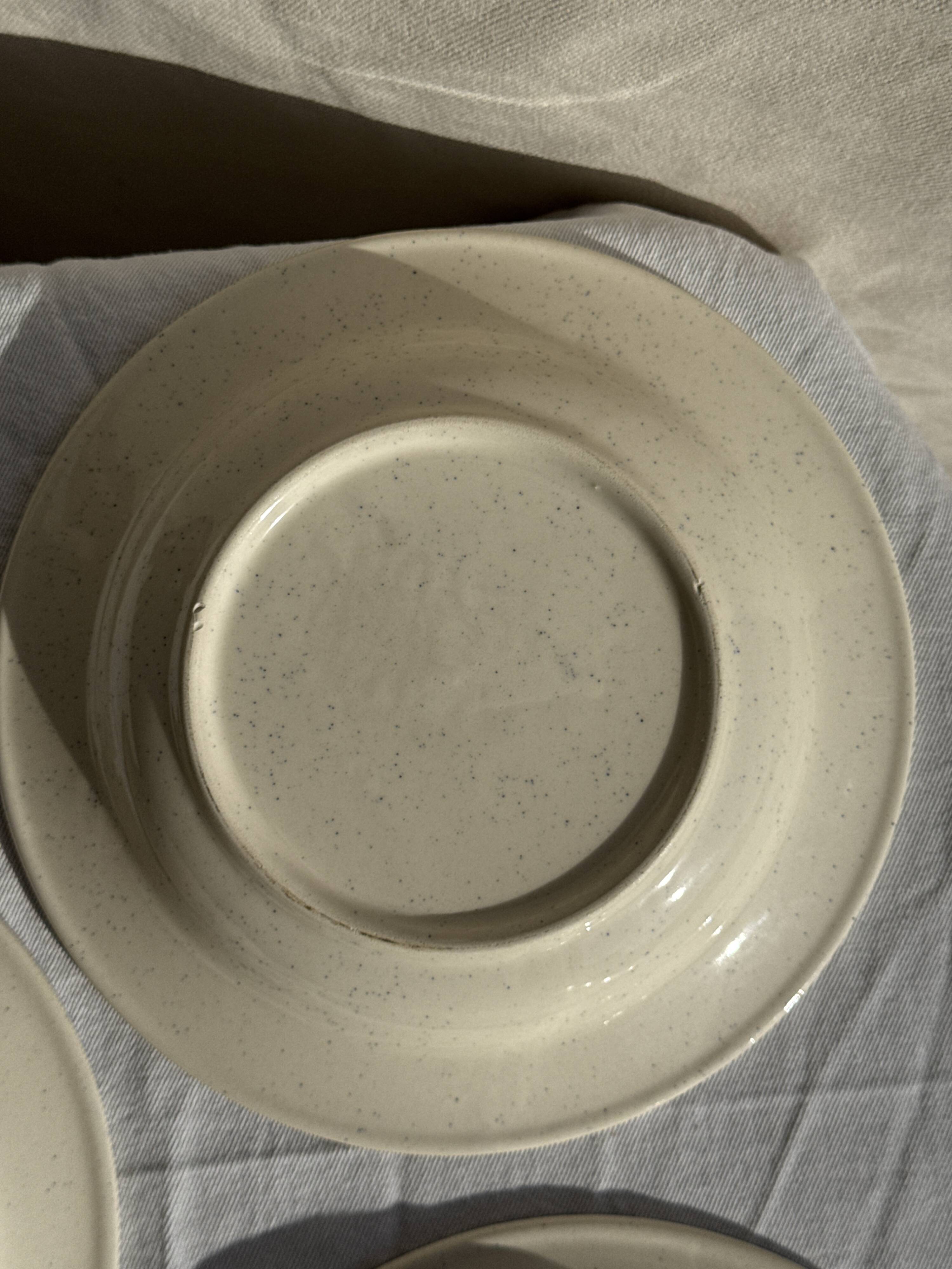 Set consisting of 6 beige flat plates with a blue rim + 3 deep plates.