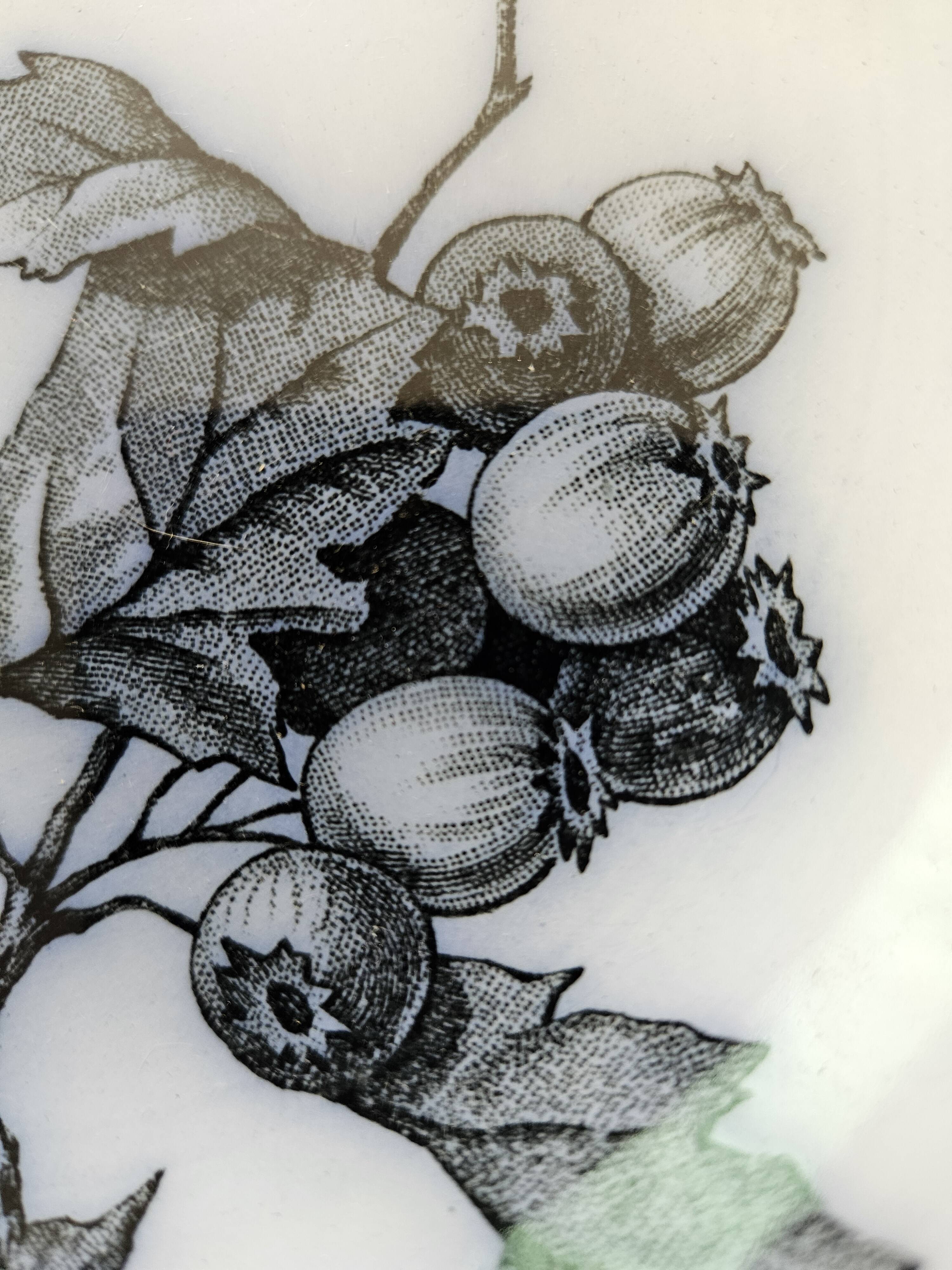 6 Longwy plates model Flowers