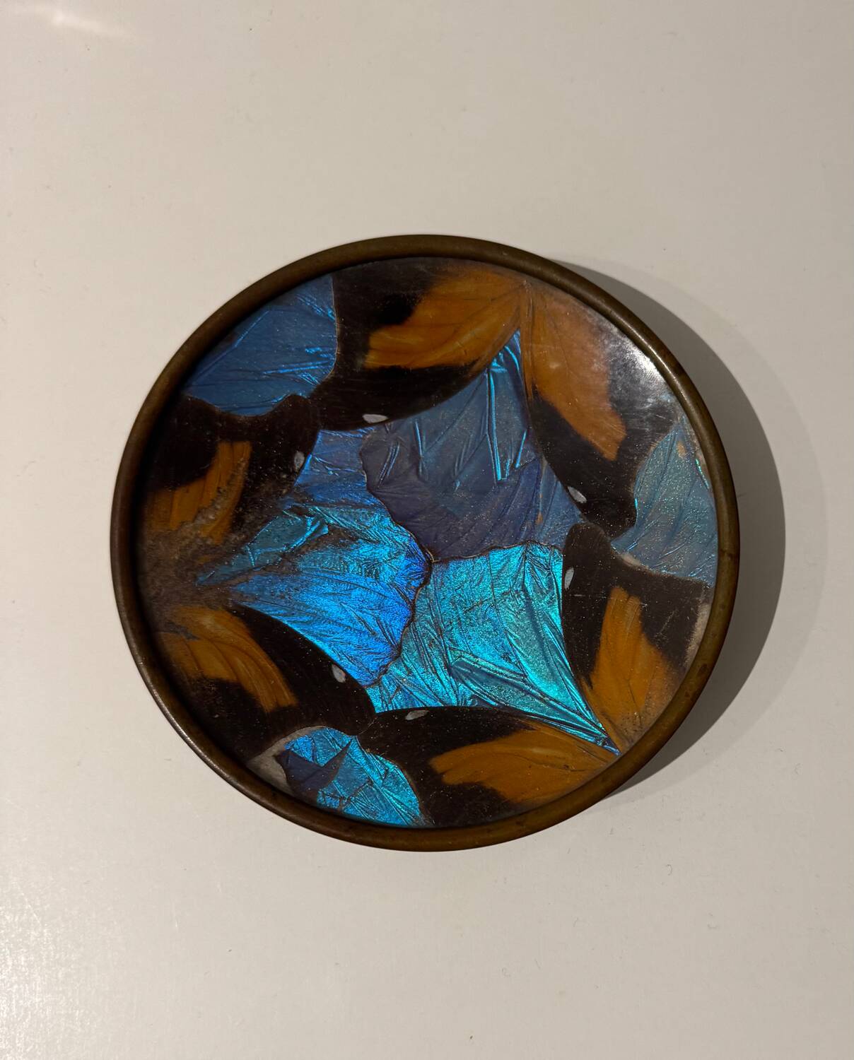 Art Deco butterfly wings catch-all Billère