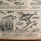 Hatier educational poster 1950