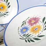 Lot of 7 plates Sarreguemines, model rustic. French Antique