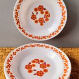 Arcopal Lotus 70s plates
