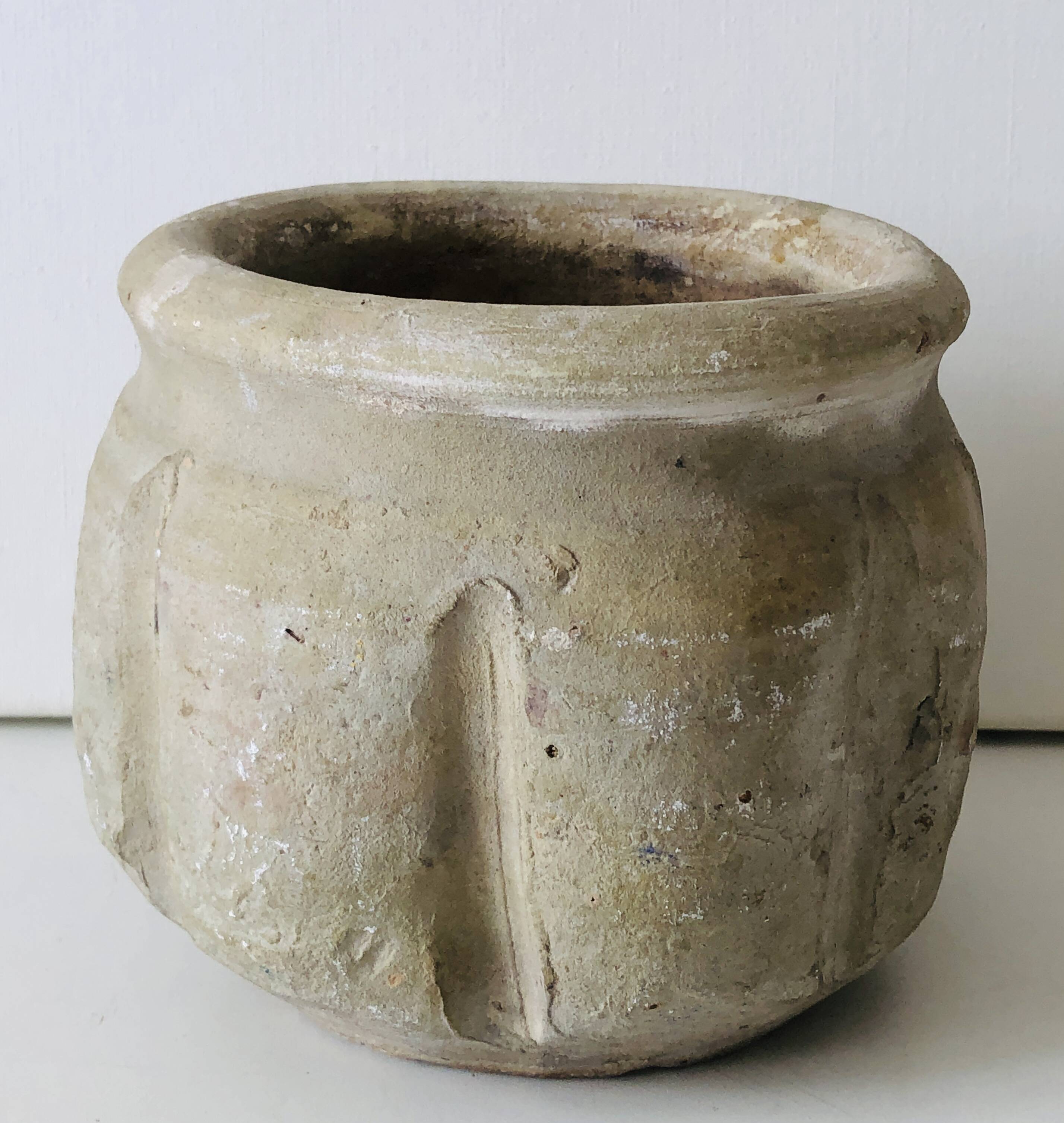 Pot