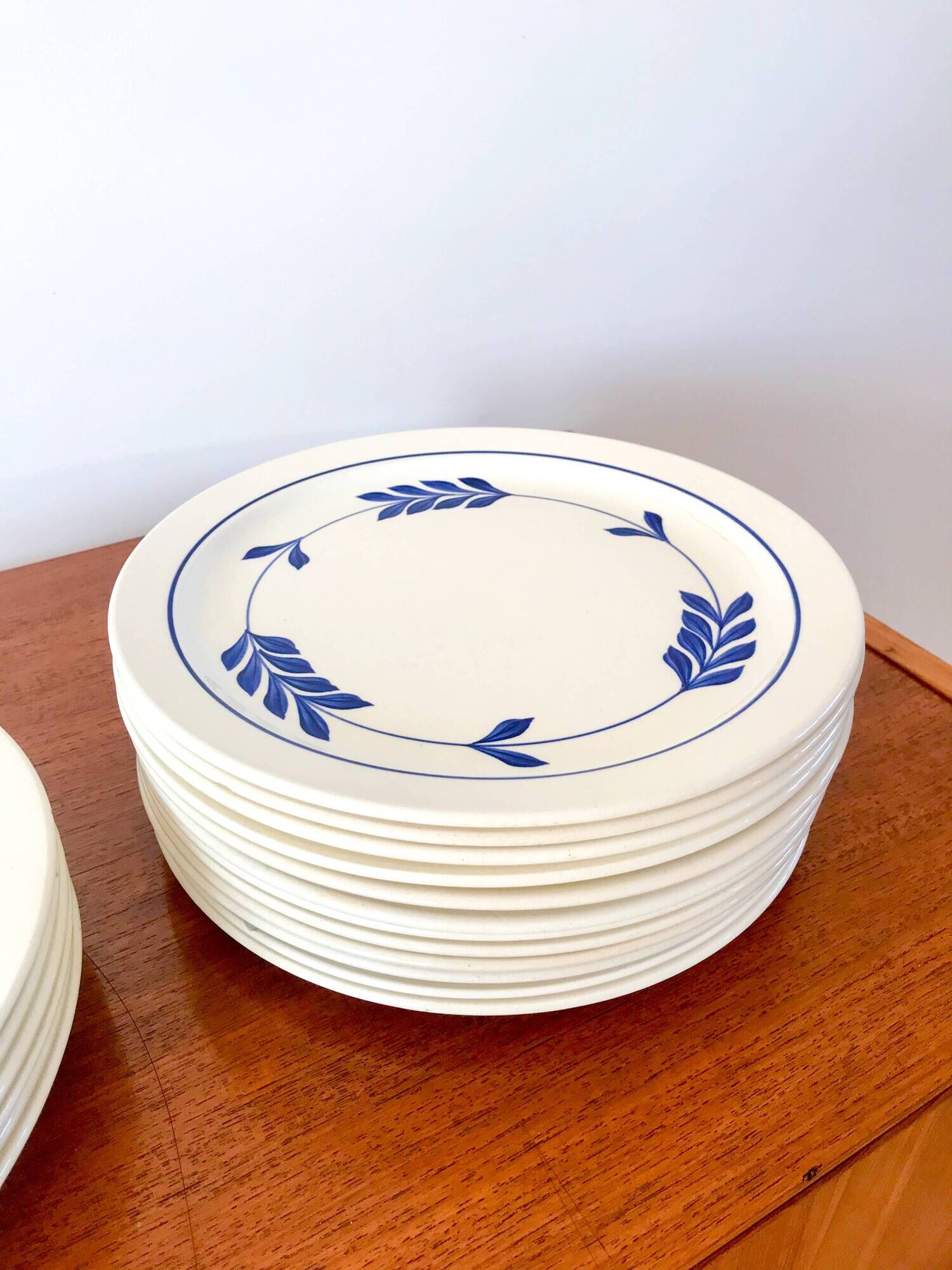 set of 6 flat plates in Terre de Fer Salins Jenny model early 20th century