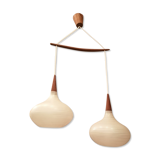 Double luminaire