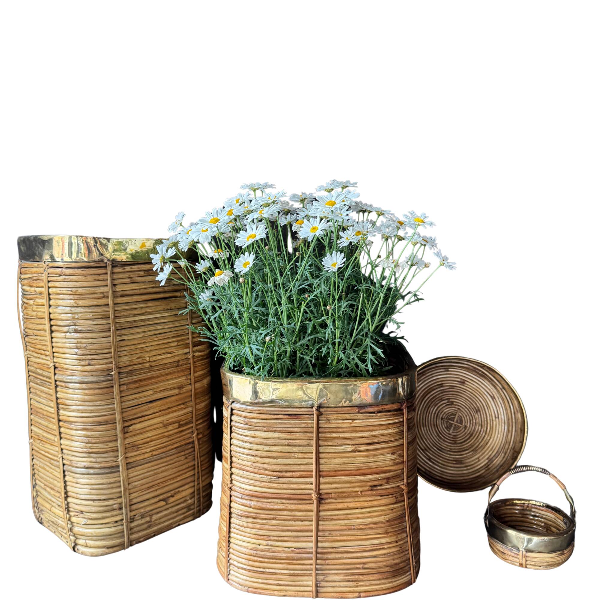 Rattan & Brass Planter | Italy 1970s