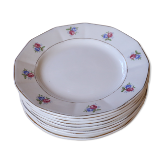 9 flowery plates Digoin & Sarreguemine