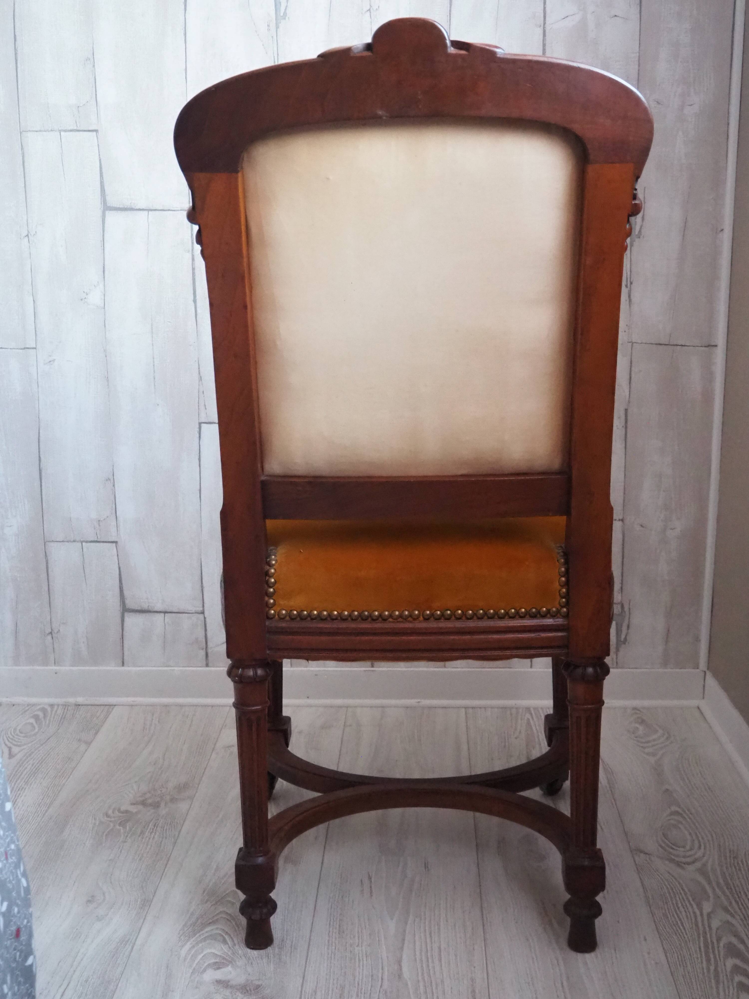 Antique Regency Style padded chair - Wooden structure and horsehair padding - Mustard color