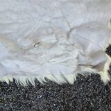 Vintage goatskins