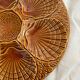 Shell plate