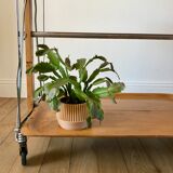Scandinavian service in beech wood metal and metal upright in 60s