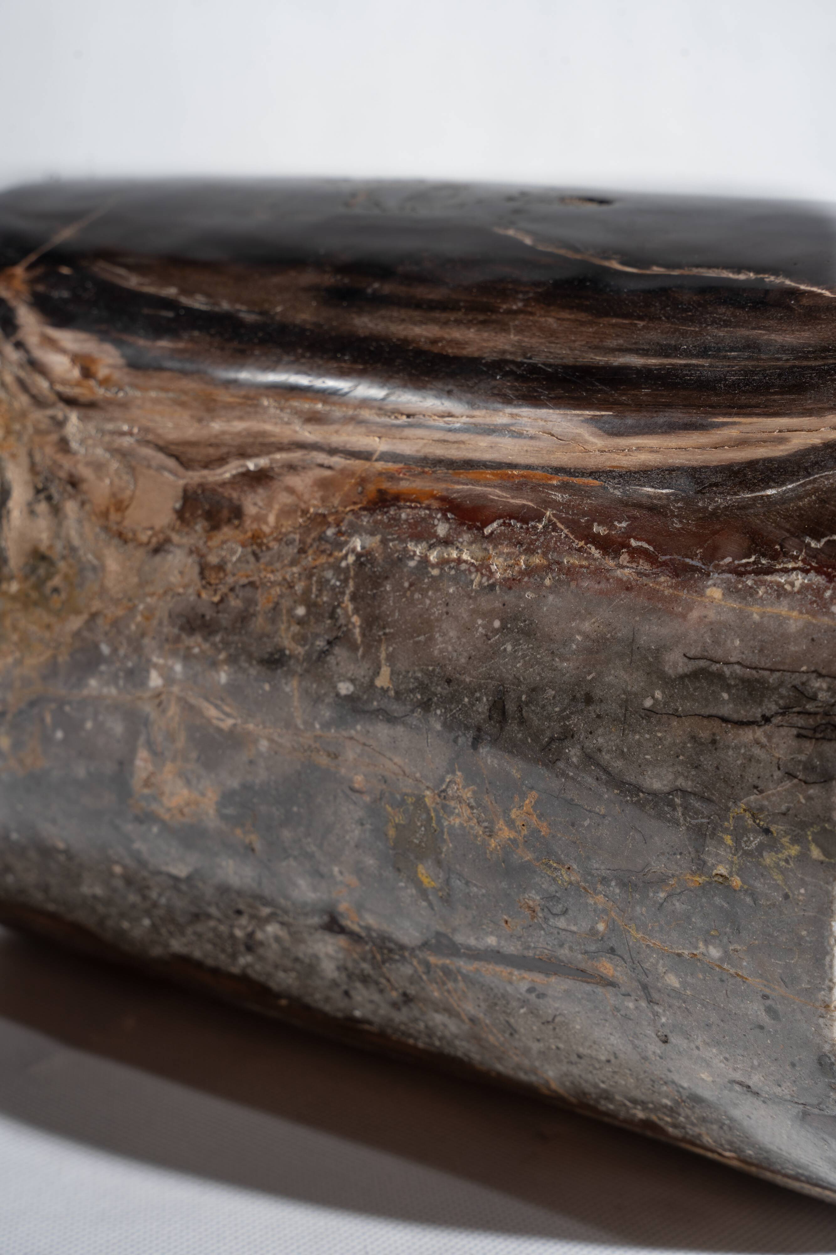 Side table in black petrified wood with light streaks h: 27,5cm d:18,5cm