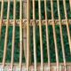 Rattan bench