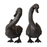 Bronze ducks