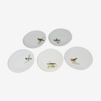 Set de 5 assiettes à dessert décor oiseaux