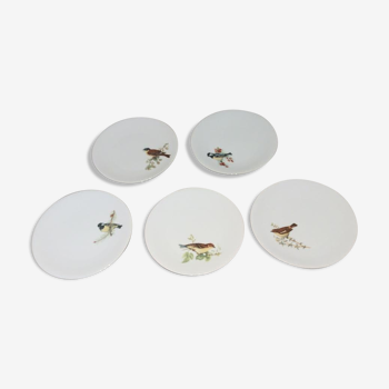 5 bird decoration dessert plates