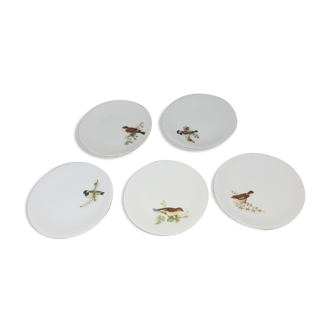 Set de 5 assiettes à dessert décor oiseaux