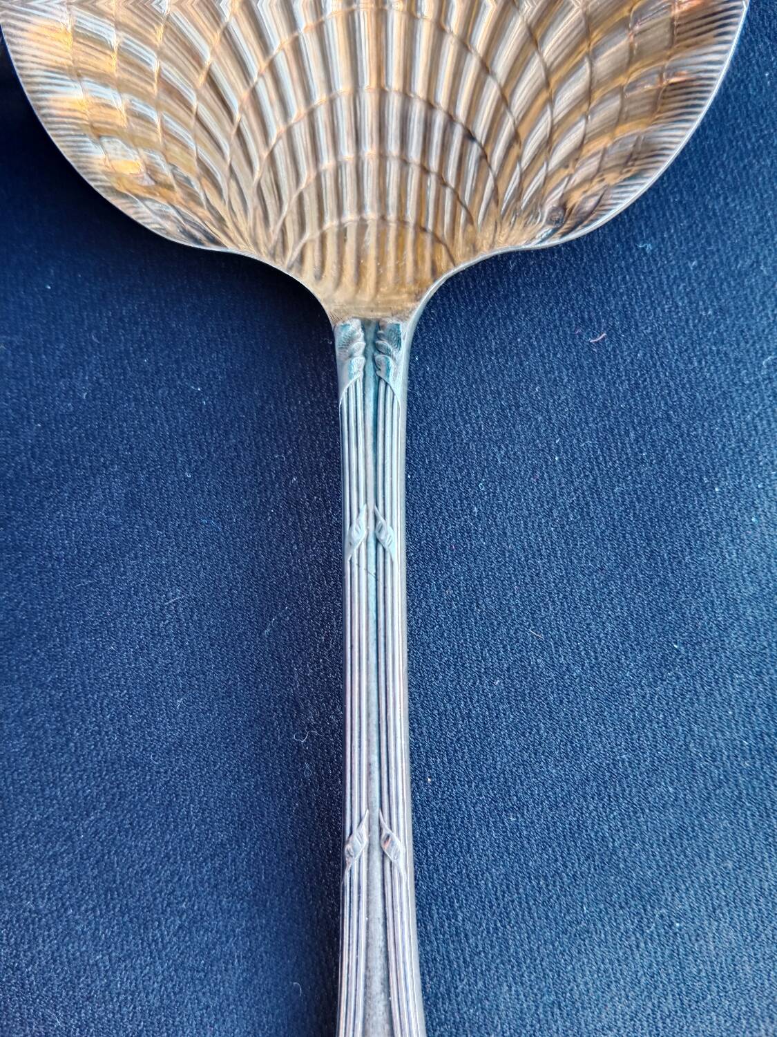 Strawberry shovel XIX.