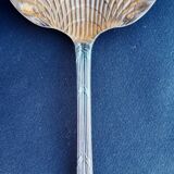 Strawberry shovel XIX.