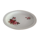 Dish